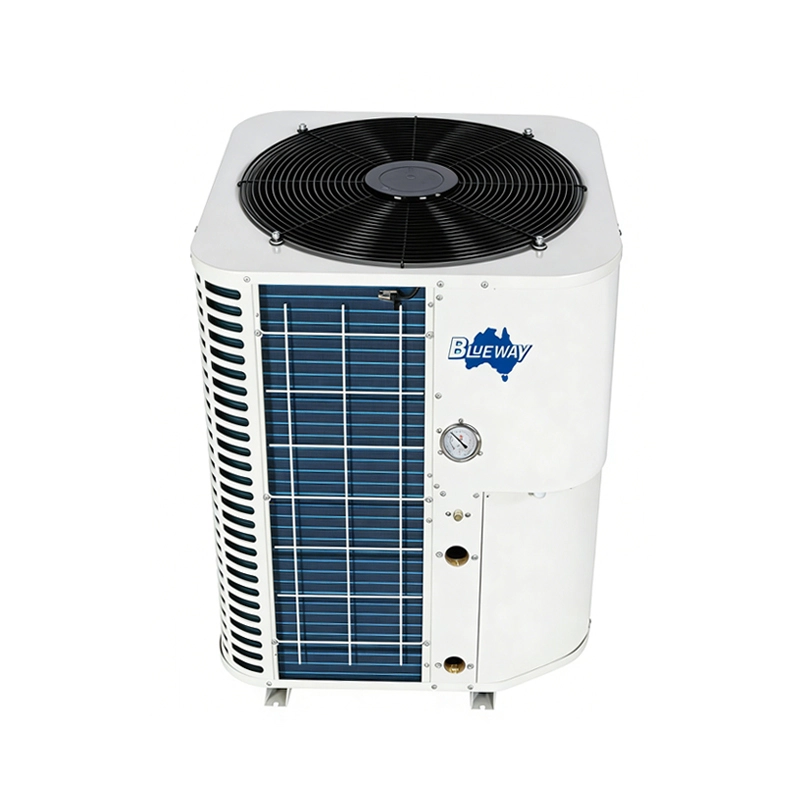 Industriell Air Cooled Waasser Chiller